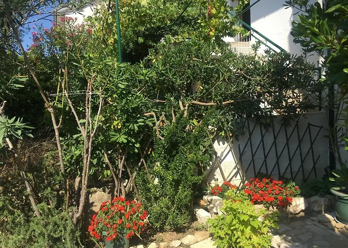 Apartament Lucia